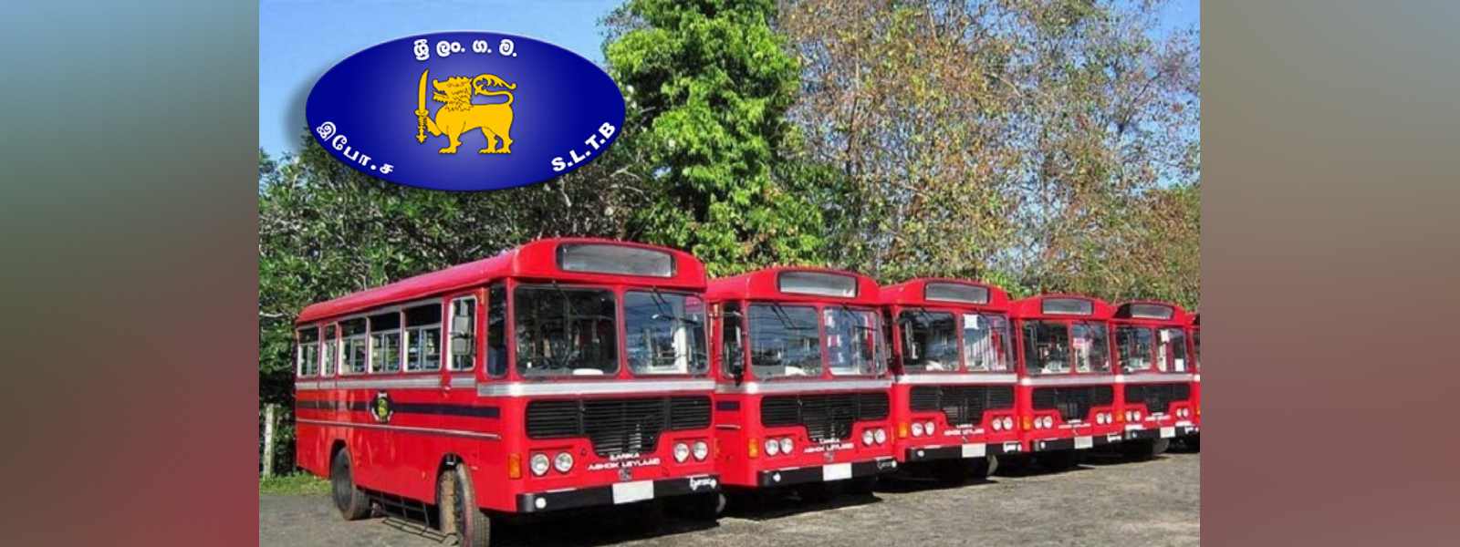 උත්සව සමය වෙනුවෙන් විශේෂ ප්‍රවාහන සේවා